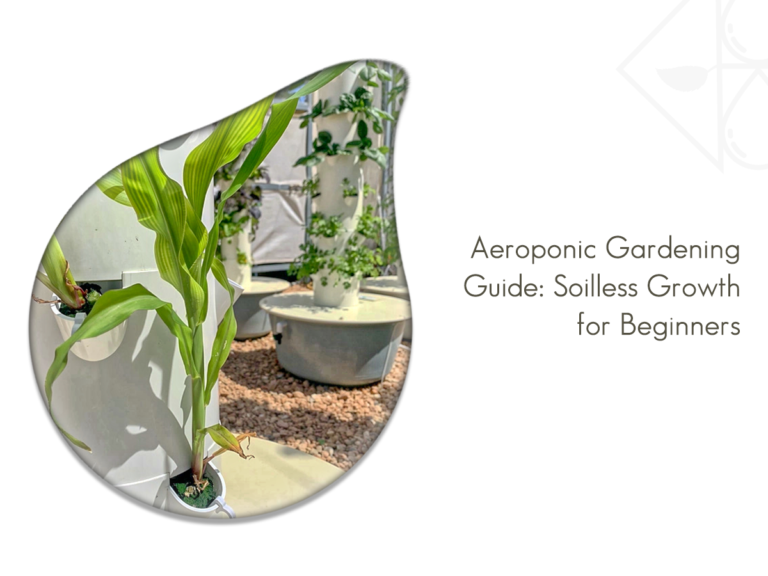 Read more about the article Beginner’s Guide to Aeroponic Gardening: Grow Without Soil