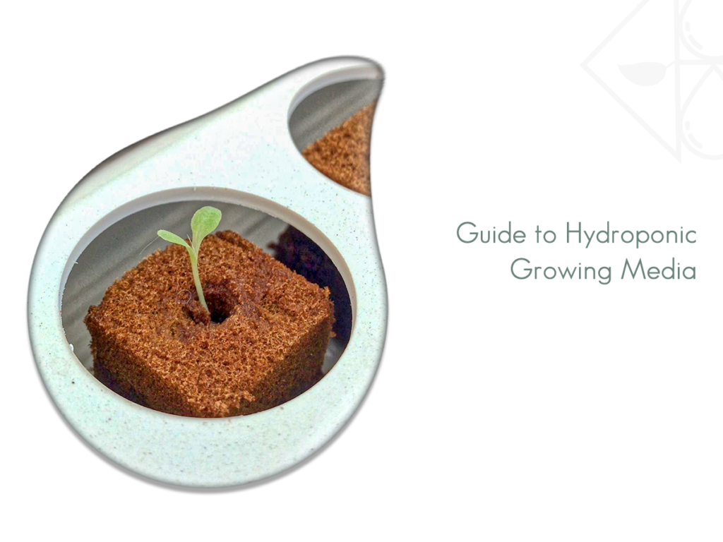 Guide To Hydroponic Growing Media