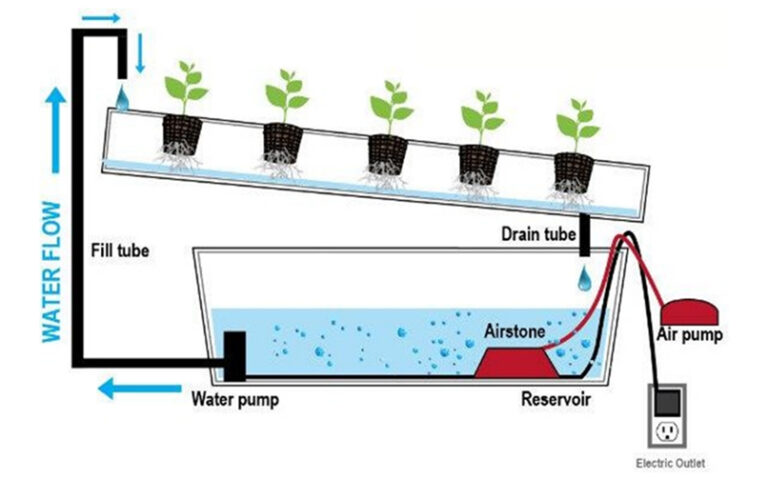 Read more about the article Grow Healthier Plants with NFT Hydroponics