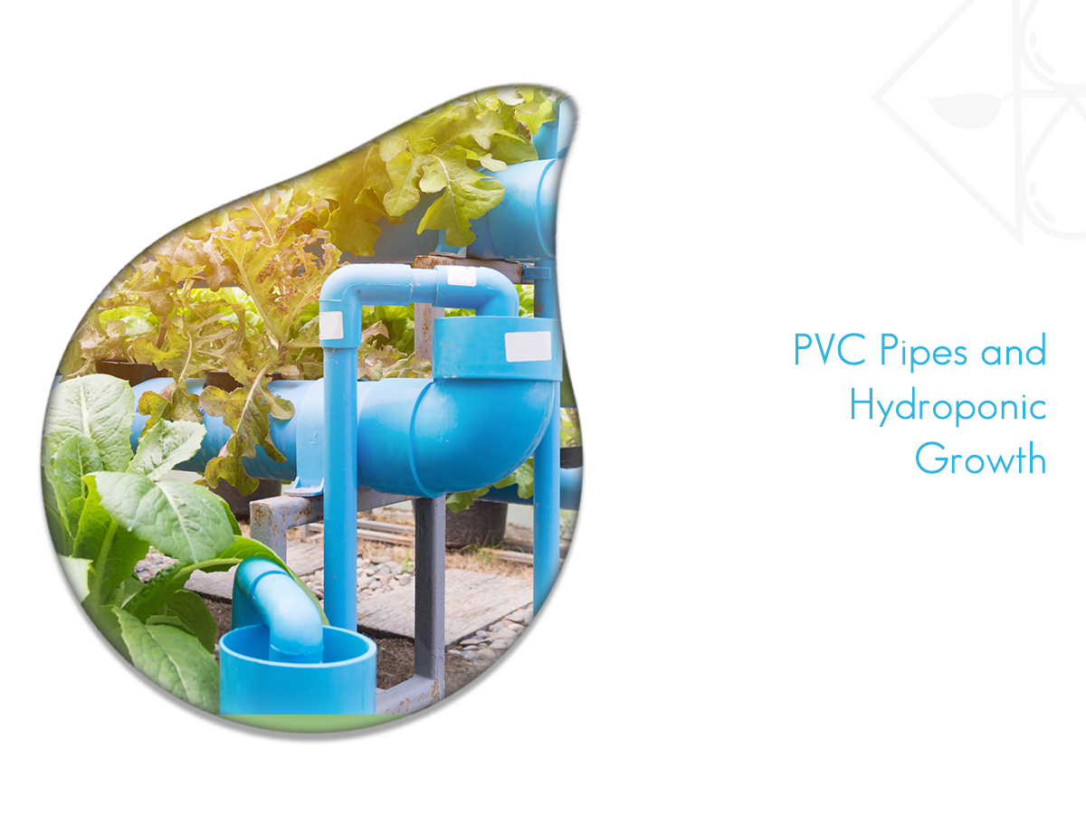 PVC Pipes in Hydroponics Pros & Cons