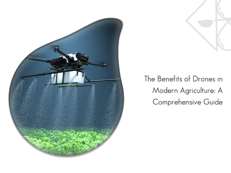 Read more about the article The Revolutionary Role of Drones in Modern Agriculture